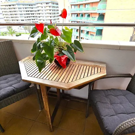 Apartamento Nexthome & Pool Lloret de Mar